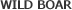 FARAID HEAD