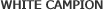 TUTSAN