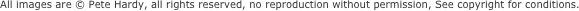 All images are � Pete