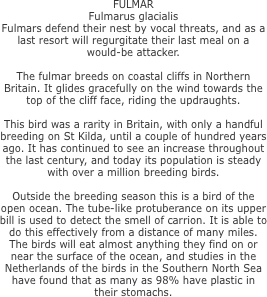 FULMAR